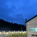 조이애견 | 서울근교 애견운동장 찾는다면? 경기도 광주 &#39;인더조이&#39; 대관 찐후기