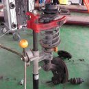 대우카포스 이미지