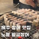 제주황금장어 이미지