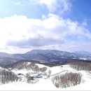 강릉목장 이미지