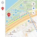 쥬티펫 | 한강데이트코스 선셋버스킹 쥬티윈드서핑클럽: 어떻게 사랑에 빠지지 않을 수 있겠어