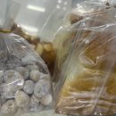 포테니언 이미지