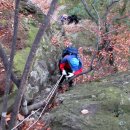 장안1교 이미지