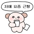 읍천리382원주