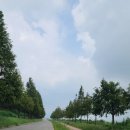 화현생태공원 이미지