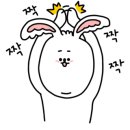 더마렉스코리아 이미지