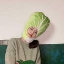 모자야채