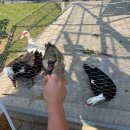 옥계농장 이미지