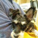 동산동물병원 이미지