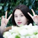 반도장 이미지