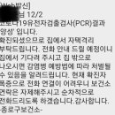 코로나 양성 받은 칼럼니스트가 쓴 후기 (만성비염을 곁들인) 이미지