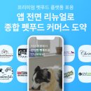 매드워시 이미지