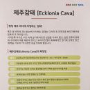 아하데이스파(주례점)