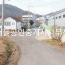 영천공용버스터미널 티스토리