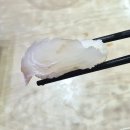 연제구-051 | 부산회전초밥무한리필 연제구 맛집 내돈내산 솔직후기, 갓파스시 연산점(추천, 비추천메뉴)