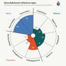 [디 애슬레틱-온스테인] 뉴캐슬, 포르투 스트라이커 사무 아게호와 영입 검토 이미지