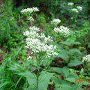 강교1리 이미지