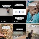 무지개메디칼 이미지