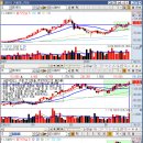 삼천당약국 이미지