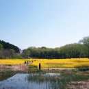 대한불교천태종대성사동해유치원 이미지