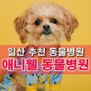 애니웰 동물병원 네이버블로그