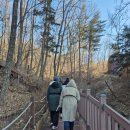 일상 스케치 속으로 | 의왕 바라산 자연휴양림 1박 2일 후기｜겨울 숲에서 시작된 어반스케치 그림여행