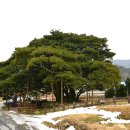 남해-299 이미지