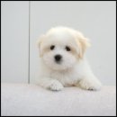 유어라운지 이미지