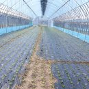 푸른들농장 이미지