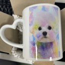 아우우(Aww) 네이버블로그
