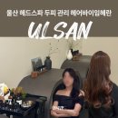 솔잎커피숍 | 울산 헤드스파 두피 탈모 관리 헤어 클리닉 케어