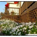 품안에 서해바다 이미지