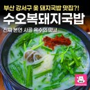 복돼지 국밥 | 부산 강서구 신호동 돼지국밥 맛집 수오복돼지국밥 솔직후기