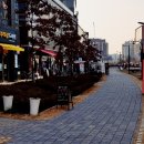 화곡전자담배