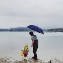 비토섬 신우리조트(주) 이미지