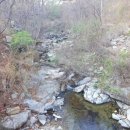 금강송계곡민박 이미지