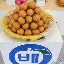 성환통신 이미지