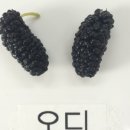마켓오디