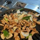 합정 맛집 l 대포막창 마포구 막창 1티어 방문 후기