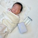 새무지개약국 | 임산부 칼슘 영양제 선물 추천 우림 프리솔라 칼마디