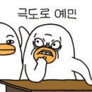 별빛여행 민박 이미지