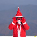 인터메리 이미지