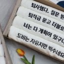 도비의선물 이미지