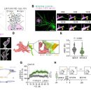태양의바디스토리 이미지