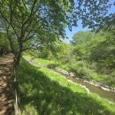 너나들이캠핑장 이미지