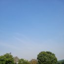 충주 시그너스cc 코튼-라미코스 라운딩 후기(6월 페어웨이-그린 컨디션)
