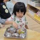 누런호박과 풋호박전 이미지