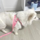 아이조아요양보호소 동탄점 이미지