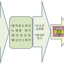 암에좋은 식품과 항암과정 이미지