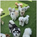 낙원유치원 이미지